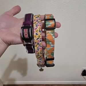 KONG Dog Collar Set - Purple, Floral, Tropical
